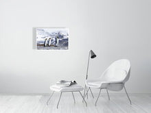 Load image into Gallery viewer, 8171078-2803804