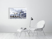 Load image into Gallery viewer, 8171078-2803805