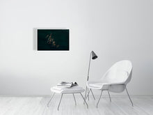 Load image into Gallery viewer, 8171074-2803790