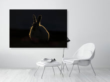 Load image into Gallery viewer, 8171070-2803784