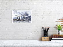 Load image into Gallery viewer, 8171078-2803802