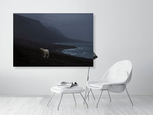 Load image into Gallery viewer, 8171076-2803800