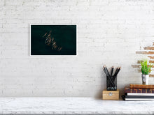 Load image into Gallery viewer, 8171074-2803789
