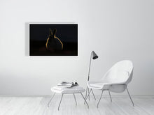 Load image into Gallery viewer, 8171070-2803782