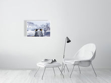 Load image into Gallery viewer, 8171069-2803743