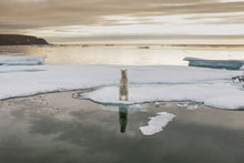 Load image into Gallery viewer, 6694400