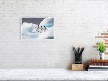 Load image into Gallery viewer, 6347651-1493615