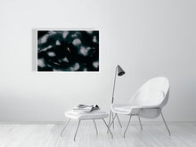 Load image into Gallery viewer, 6694389-1657453