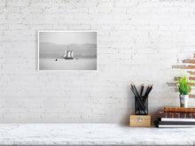 Load image into Gallery viewer, 6346506-1494050