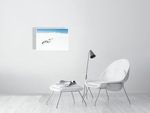 Load image into Gallery viewer, 6346446-1494063