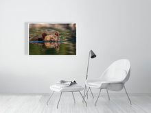 Load image into Gallery viewer, 6347612-1493911