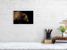 Load image into Gallery viewer, 6347553-1494022