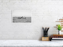 Load image into Gallery viewer, 6347562-1494014