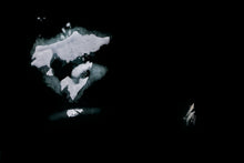 Load image into Gallery viewer, 6694376