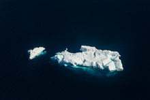 Load image into Gallery viewer, Lone Penguin