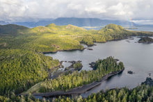 Load image into Gallery viewer, Flores Rainbow