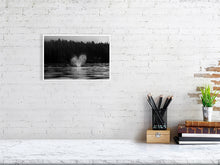 Load image into Gallery viewer, 6346559-1494026