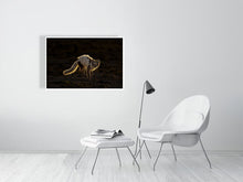 Load image into Gallery viewer, 6694791-1657654