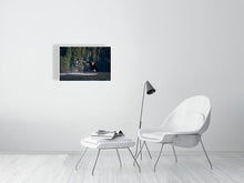 Load image into Gallery viewer, 6347577-1494003