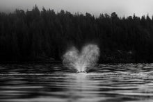 Load image into Gallery viewer, Love emergence