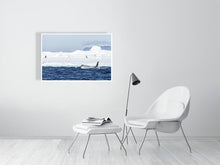 Load image into Gallery viewer, 6348753-1494132