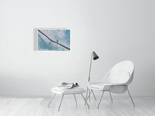 Load image into Gallery viewer, 6694492-1657361