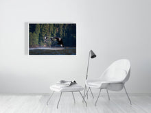 Load image into Gallery viewer, 6347577-1494004