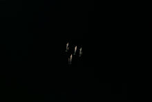 Load image into Gallery viewer, 6694488