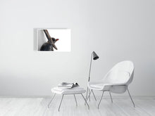 Load image into Gallery viewer, 6682343-1651506