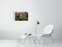 Load image into Gallery viewer, 6347612-1493910