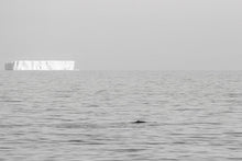 Load image into Gallery viewer, Depth Beyond