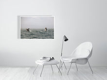 Load image into Gallery viewer, 6346542-1493903