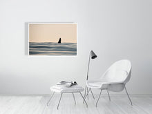 Load image into Gallery viewer, 6347558-1494020