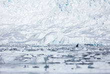 Load image into Gallery viewer, 6682355