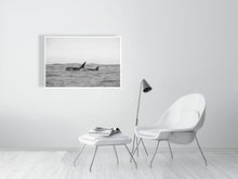 Load image into Gallery viewer, 6347562-1494016