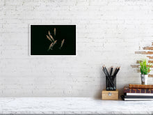 Load image into Gallery viewer, 6694476-1657391