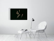 Load image into Gallery viewer, 6694476-1657393