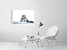 Load image into Gallery viewer, 6347667-1493969