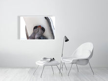 Load image into Gallery viewer, 6347686-1493931