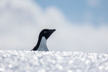 Load image into Gallery viewer, The Watchkeeper