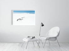 Load image into Gallery viewer, 6346446-1494064