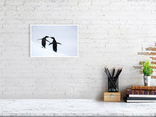 Load image into Gallery viewer, 6347661-1493971