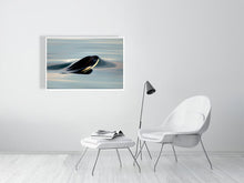 Load image into Gallery viewer, 6347564-1494008