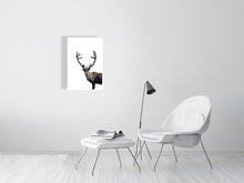 Load image into Gallery viewer, 6347703-1493673