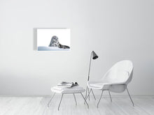 Load image into Gallery viewer, 6347667-1493968