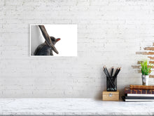 Load image into Gallery viewer, 6682343-1651505