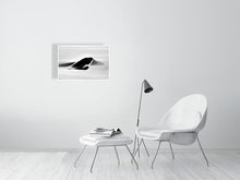 Load image into Gallery viewer, 6347569-1494011