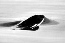 Load image into Gallery viewer, Surface Tension (B&W)