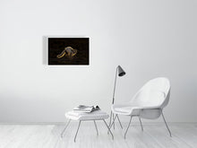 Load image into Gallery viewer, 6694791-1657653
