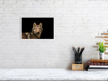 Load image into Gallery viewer, 6347605-1493994